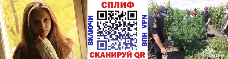 даркнет какой сайт Циолковский Бошки марихуана Bruce Banner KRAKEN рабочий сайт